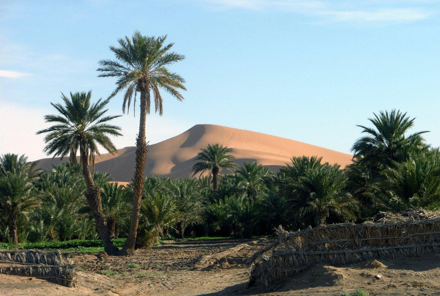 Hotel Riad Oasis Merzouga Εξωτερικό φωτογραφία